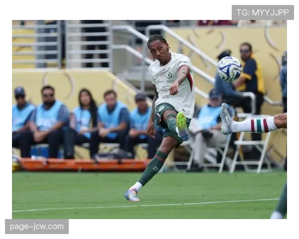 若昂佩德罗禁区触球数据出色 蓝军进攻终结保障